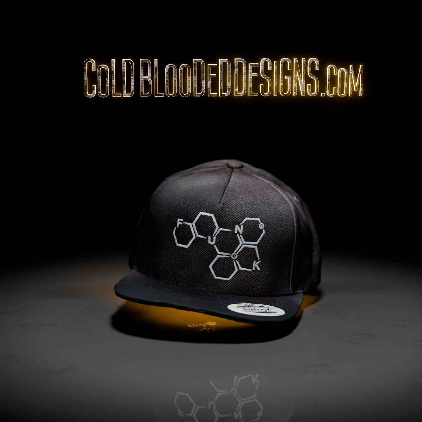 FUNK molecule SNAPBACK hat