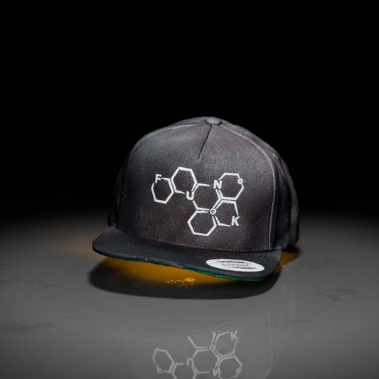 FUNK molecule SNAPBACK hat